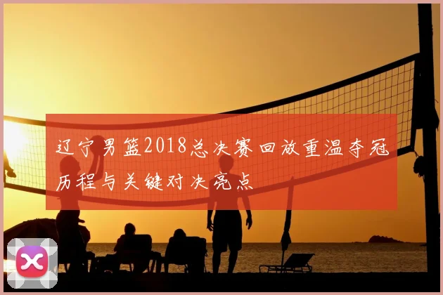 辽宁男篮2018总决赛回放重温夺冠历程与关键对决亮点