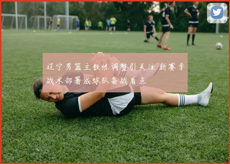 辽宁男篮主教练调整引关注 新赛季战术部署成球队备战看点