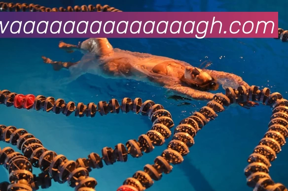 完美体育(中国)官方网站 - 登录入口平台生态图